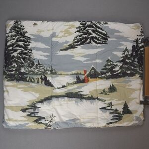 Pottery Barn Scenic Winter Landscape Quilted Pillow Sham Pair